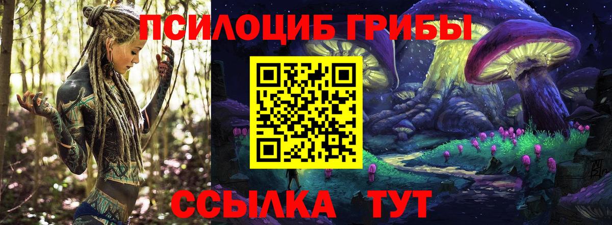 Псилоцибиновые грибы мухоморы  Вход с VPN  Искитим 