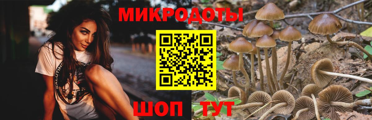 Псилоцибиновые грибы прущие грибы Искитим