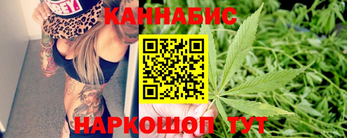 Конопля OG Kush Искитим